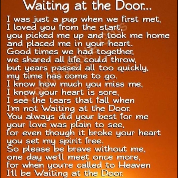 “MEET THE POSHER” so nice to meet you🌷 - Picture 9 of 17